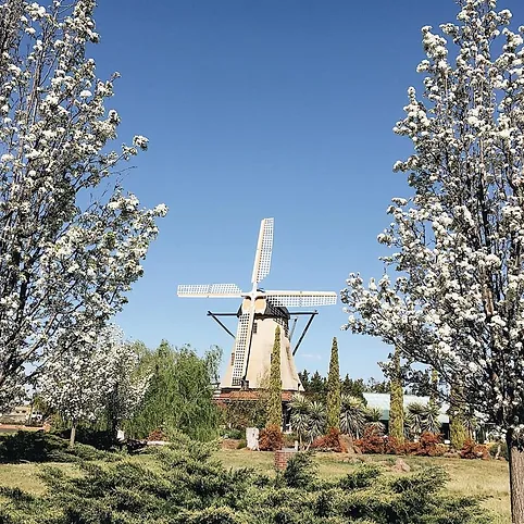 Windmill Gardens Plumpton